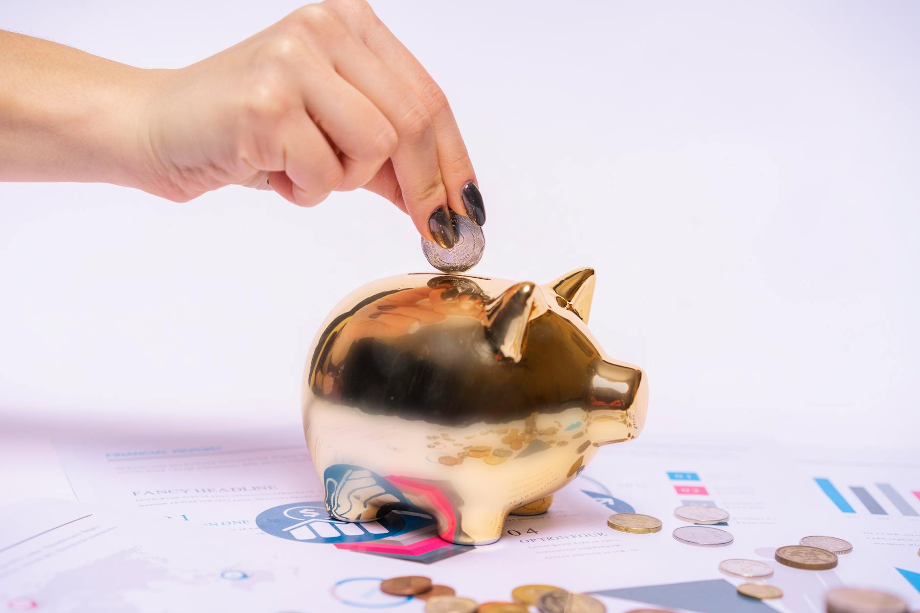 Financial Support and Business Development